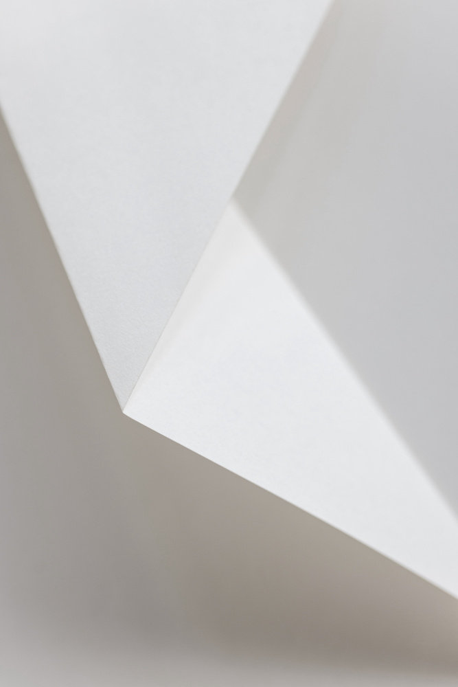 Ivy Bronx Paper Studies 17 | Wayfair.co.uk