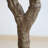98" Artificial Tall Olive Tree in Pot