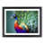 Black Framed selected