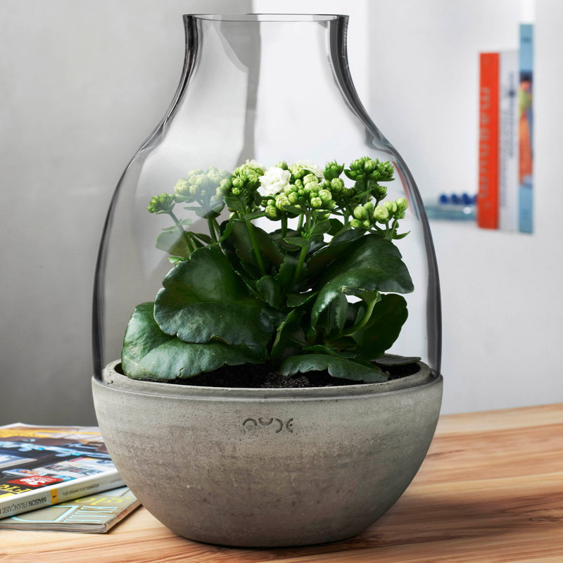 Eden Handmade Glass Planter, 13.5" H x 9" W x 9" D