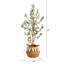 Plante de 42 po
