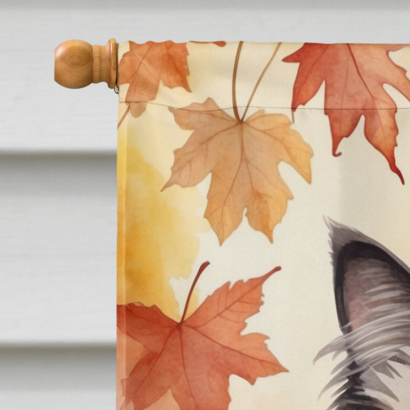 Chat en feuilles d'automne, Ragdoll