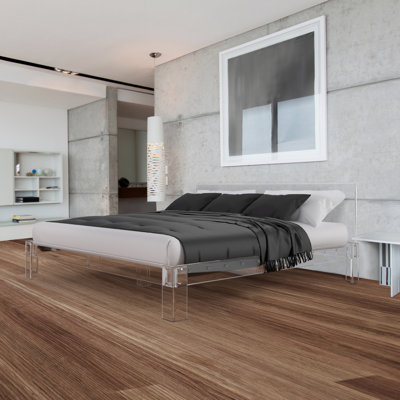 Clear Acrylic Bed