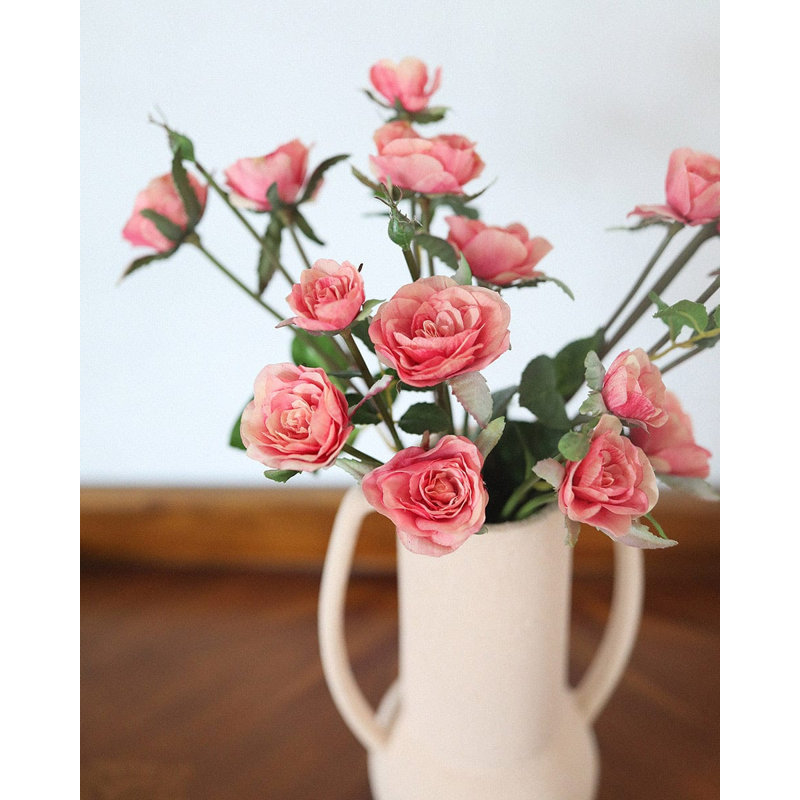 Coucher de soleil roses corail Floribunda 19 po, Corail