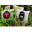 Kiser Square Cushion Cover