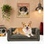 Canapé-lit pour chien durable-121424592