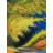 A Secret Path | Oil On Canvas For Wall Decor | By Devraj
