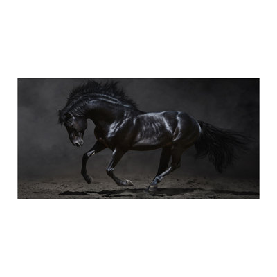 Black Horse - Wrapped Canvas Print