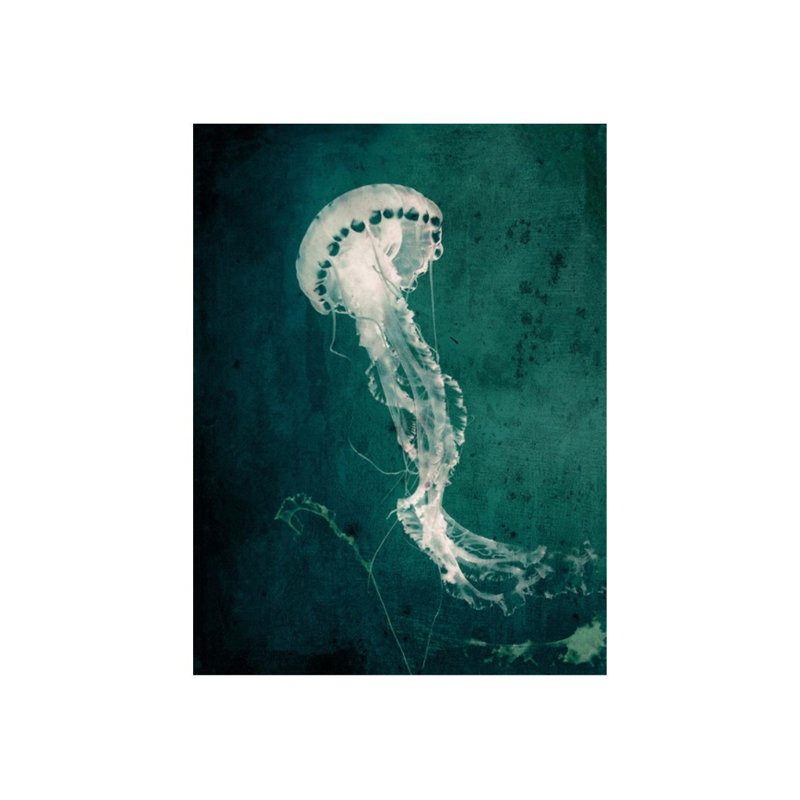 Marine Collection V Print by GI Lab, Outdoor, 40" H x 30" W