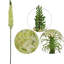 Vaporisateur de sonnette en soie verte par Floral Home®
