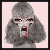 Pink Poodle Mouth Print by Jeffrey Goodman