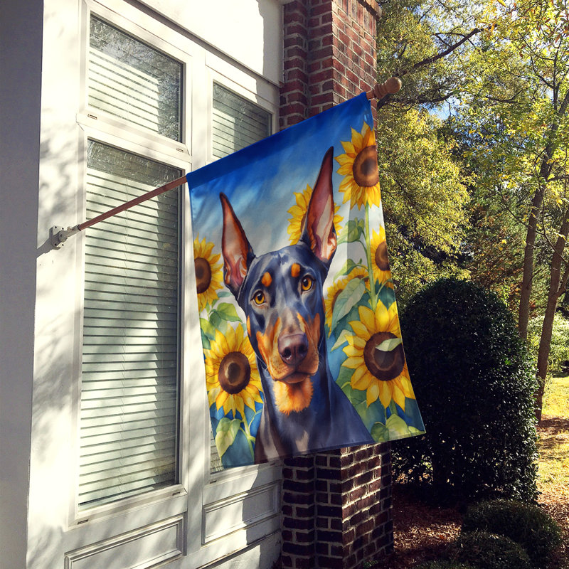 Drapeau de la maison du tournesol Malamute d'Alaska, Doberman pinscher