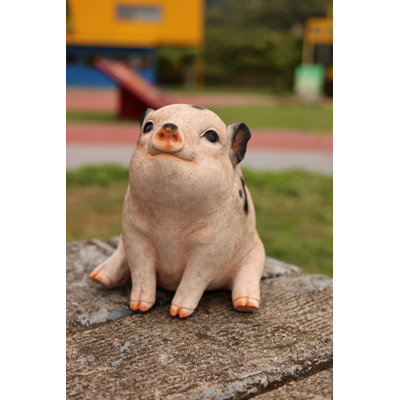 Sitting Pig Looking Up