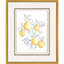 Citrus Fresh Set by Inspire Studio