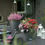 Hanging Planter-16493105-66329965