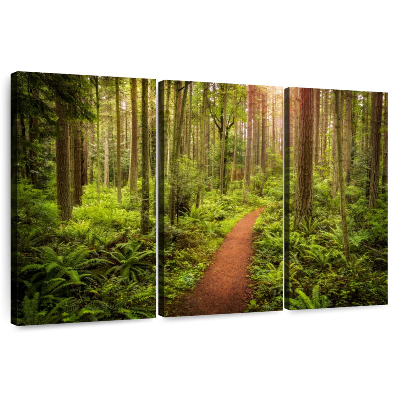 Alvord Washington Rainforest, H 24 po x l 38 po