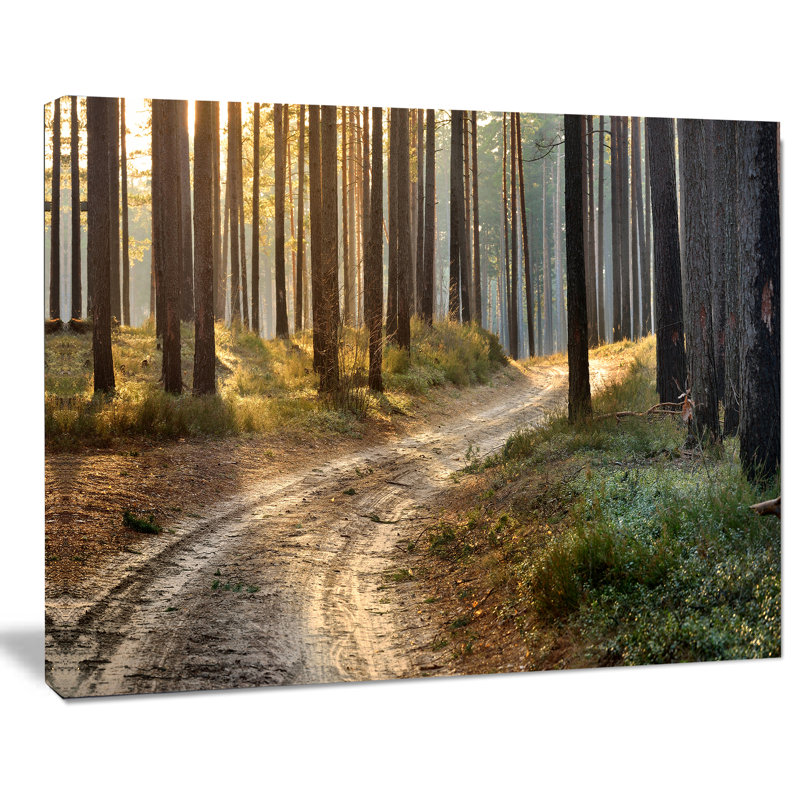 Road in Thick Morning Forest - Reproduction de photo sur toile tendue, H 30 po x l 40 po x P 1 po