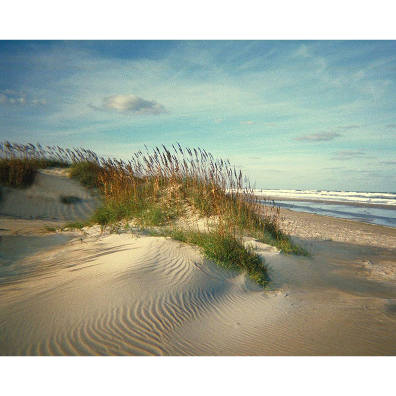 Dovecove Anonymous Gallery Wrapped Canvas Art Titled: Sand Dunes, 36" H x 44" W