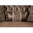 Buxston Loveseat-125119683