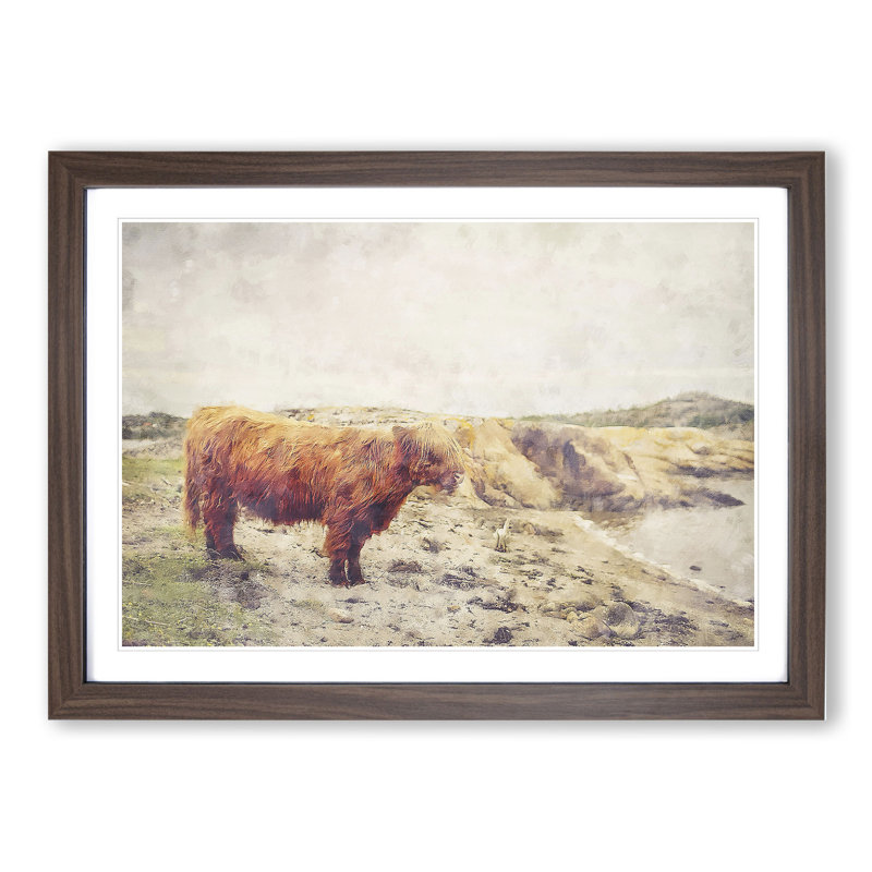 Highland Bull Cow Vol.3 - Framed Print, 27cm H x 36cm W x 2cm D, Walnut Framed