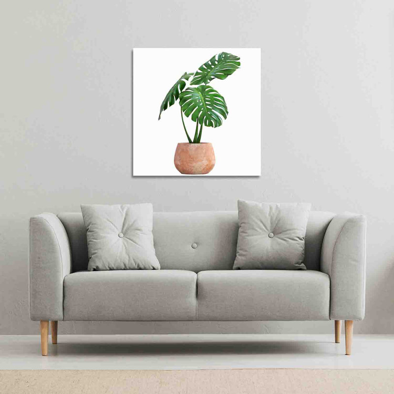 Monstera by Andrew Lee - Wrapped Canvas Print, 111cm H x 111cm W x 4cm D