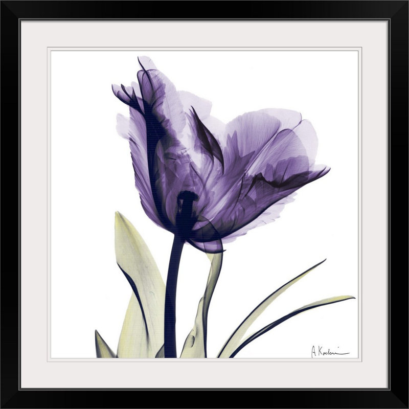 «Manigault», fleur mauve par Kiranjit, reproduction de photo, H 32 po x l 32 po x P 1 po, Cadre noir