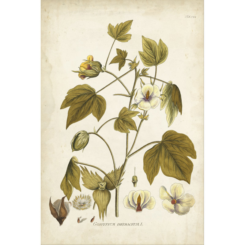 Elegant Botanical I - Painting, 122 cm H x 81 cm W, Wrapped Canvas