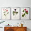Nature Printed Botanicals III - reproduction sur mesure encadrée de qualité supérieure - 3 pièces-2141871360-2141871367