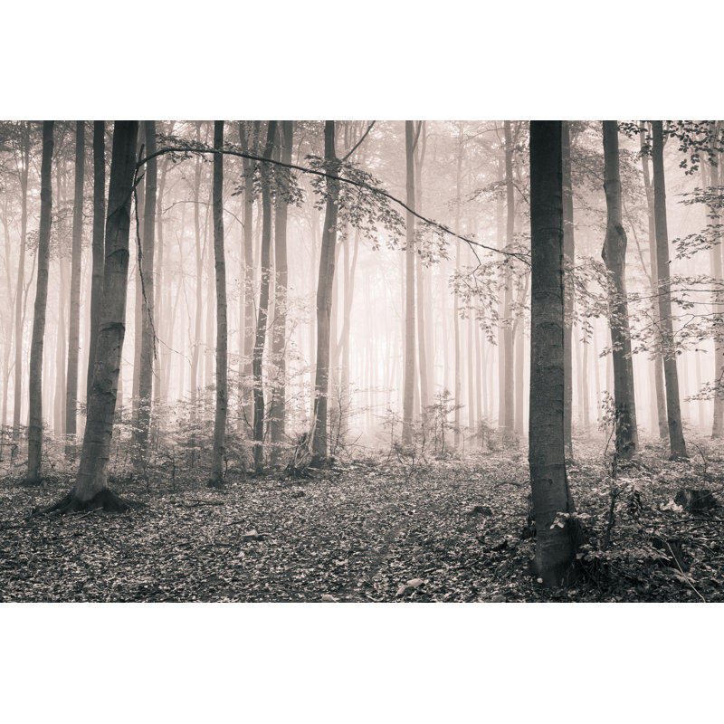 Black And White - Foggy Autumn Forest by Konradlew - No Frame Art Prints on Canvas, 61cm H x 91cm W