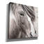 Winston Porter 'Elska 3 Bw' by Laura Marshall Canvas Wall Art, 18" x 18"-531061210