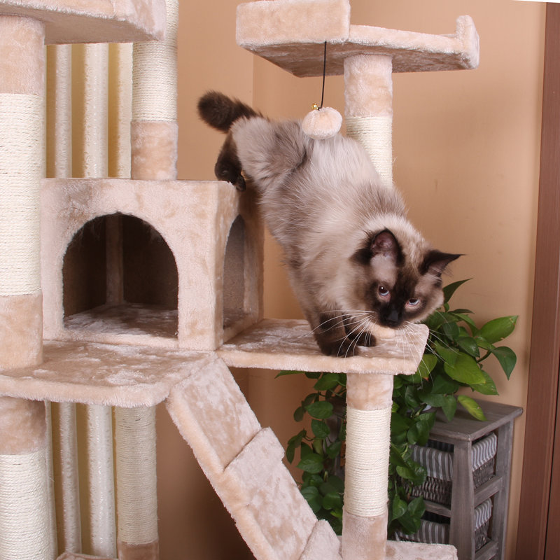 Arbre à chat classique 71" Moynihan