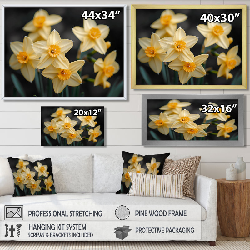 Jaune et noir, trompette d'espoir, jonquilles - jonquilles, H 12 po x l 20 po, Cadre simple noir