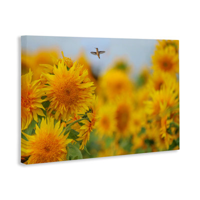 Joyeux colibri et toile de tournesols, design par Carrie Ann Grippo-Pike