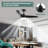 Jisk 19.2'' Ceiling Fan with LED Lights