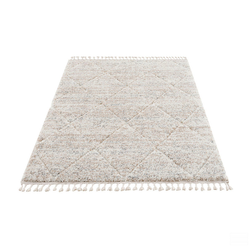 Trellis Area Rug