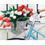 Vélo avec tulipes dans un panier - imprimé mat bleu encadré