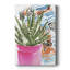 " Zebra Succulent II "-2102969505