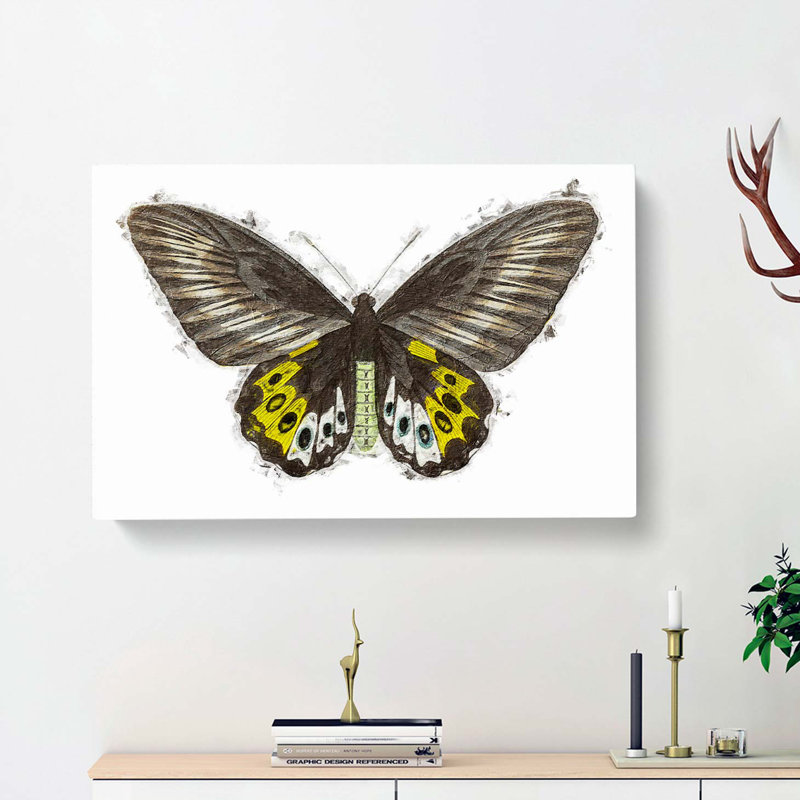Green Birdwing Butterfly by George Shaw - Wrapped Canvas, 50cm H x 76cm W x 3cm D