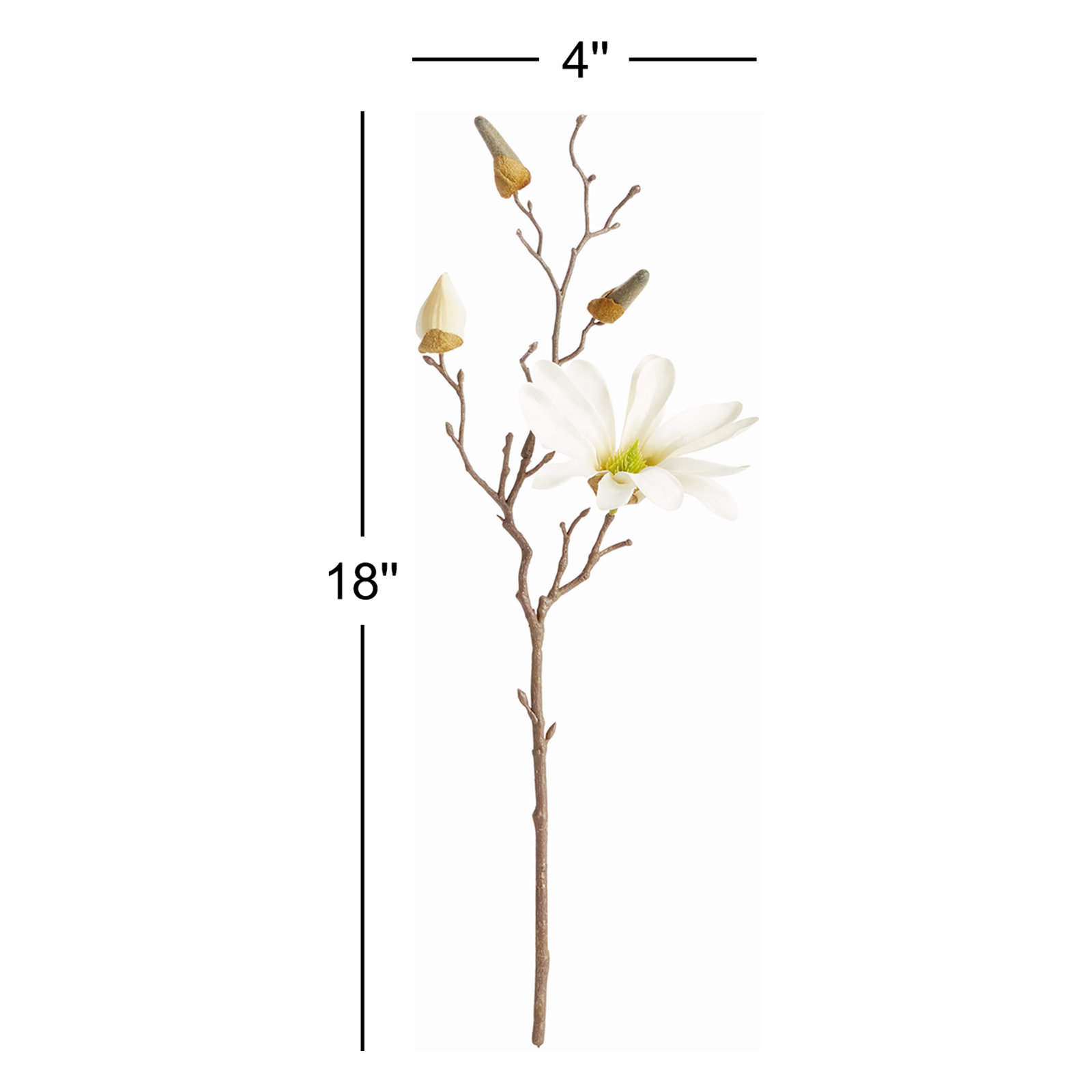 Magnolia Floral Stems, 18"