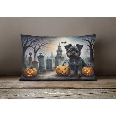 Other/No Pattern Outdoor Throw Pillow