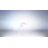 Pivoting Parrot Bird Spinner