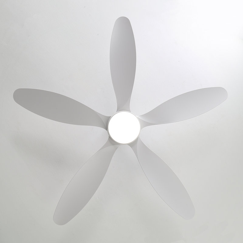 5-leaf white ceiling fan