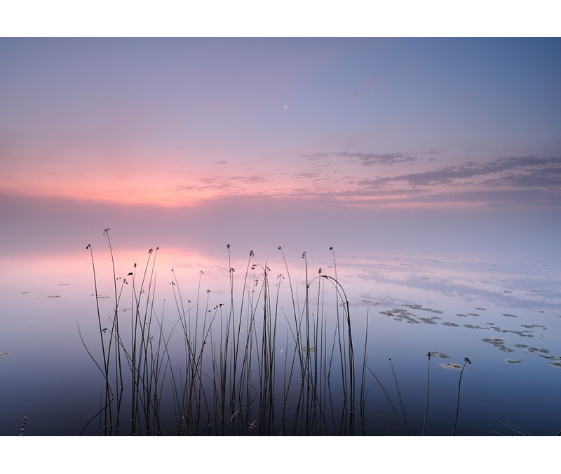 Wrapped Canvas Print, 76.2 cm H x 50.8 cm W