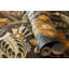 Matamoros Palau Floral Fish And Bird Inspired 8.5 m x 70cm Wallpaper Roll-1630319444