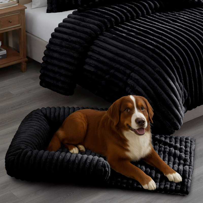 Grand long lit pour chien noir 36 po x 28 po x 7 po, Grand (H 7 po x l 36 po x P 28 po), Noir