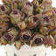 Dried Rose Bundle in Ceramic Pot-603323831