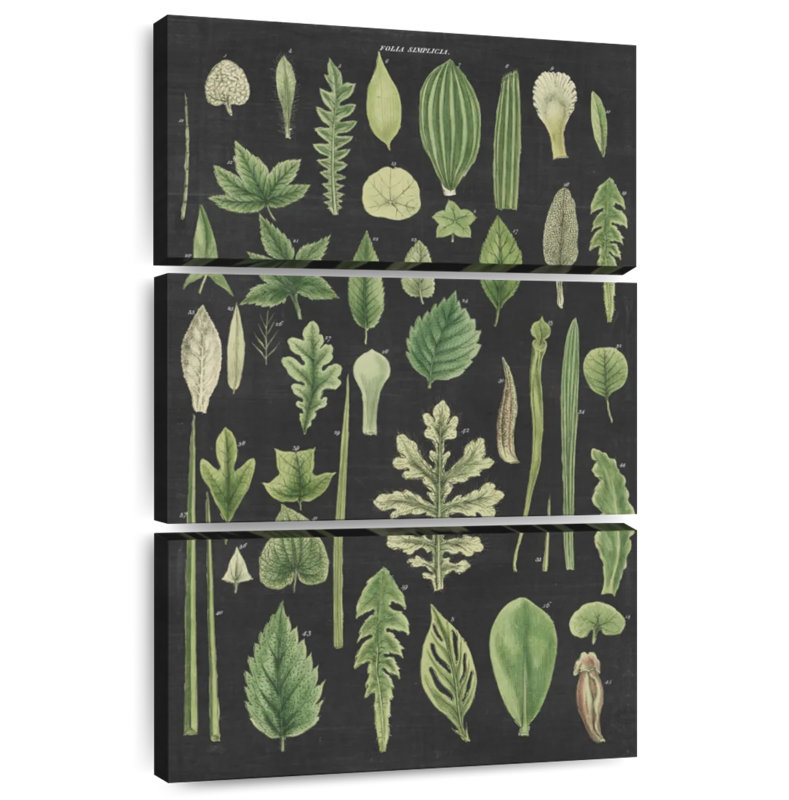 Harnek assortiment de feuilles gris anthracite, H 45 po x l 28 po