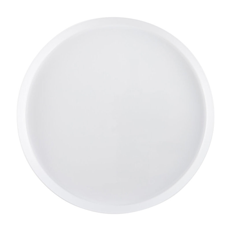 Assiettes plates en plastique blanc 10 pouces, 110