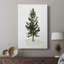 Aquarelle pin I - galerie Cavas sur mesure-1760394671
