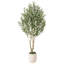 Olive artificielle Ashwell avec pot blanc-155919472